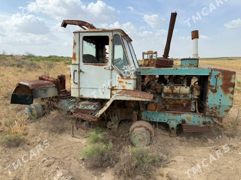 MTZ T-28 2023 - 12 000 TMT - Гёкдепе - img 2