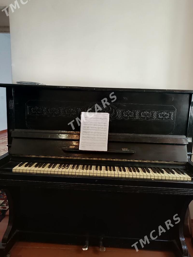 Pianino - Gyzylarbat - img 5