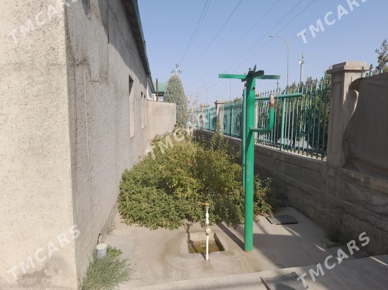 Änew Plan jay/ koteş - Анев - img 2