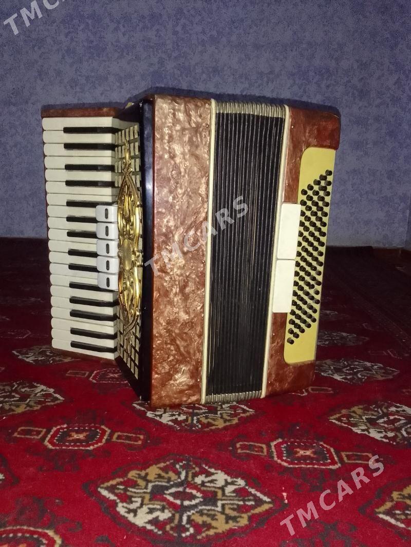 Akardeon - Дашогуз - img 3