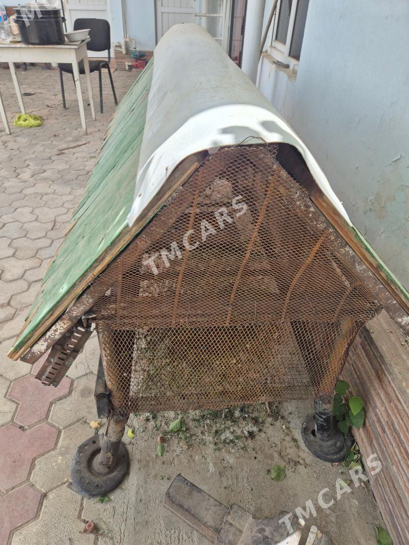 Towṣan tüÿ horazlar - Хитровка - img 6