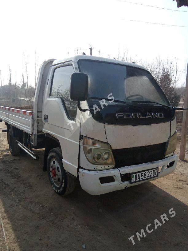 Forland H2 2012 - 60 000 TMT - Gubadag - img 2