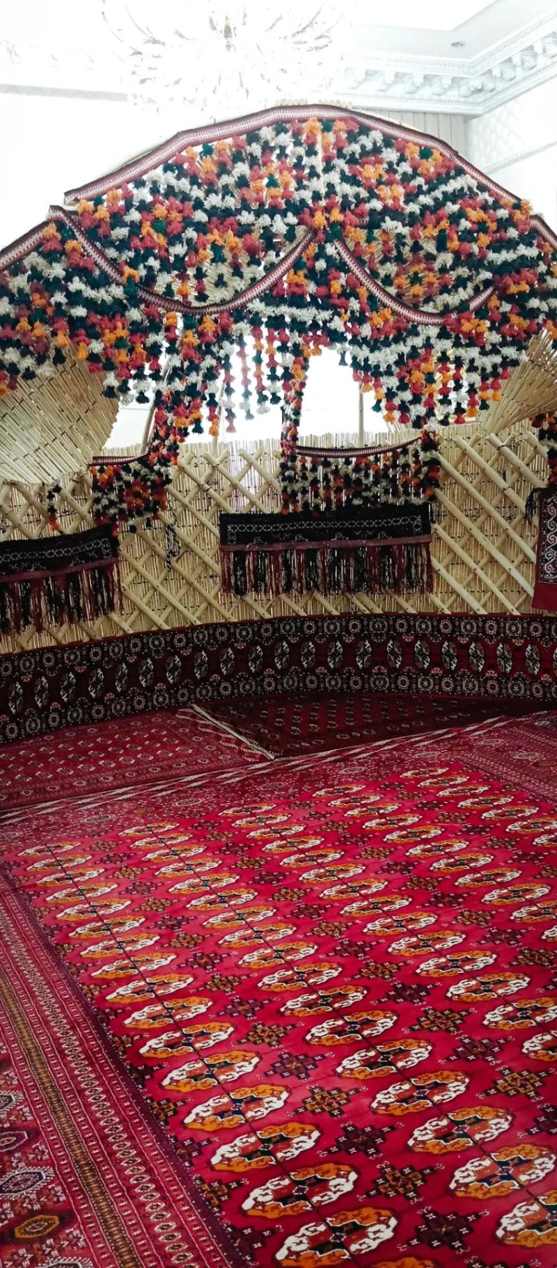 Gamyş AK GARA Öÿler Акой гамыш - Aşgabat - img 6