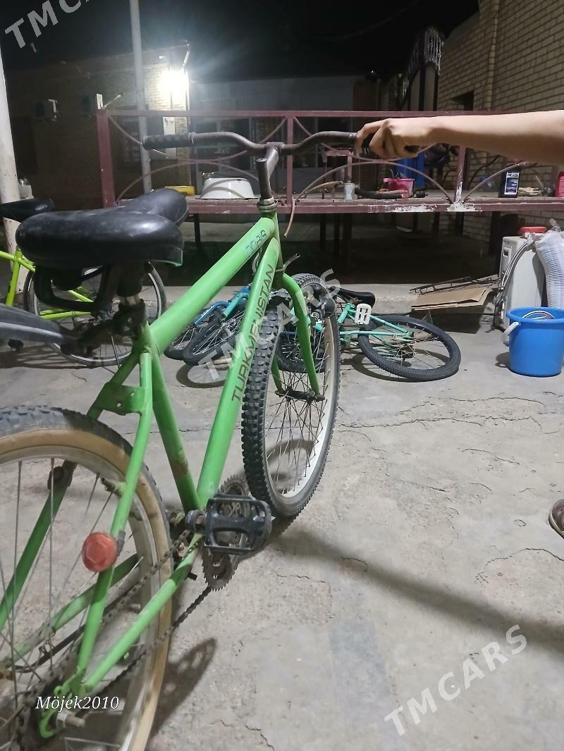 Turkmenistan tigiri - Wekilbazar - img 2