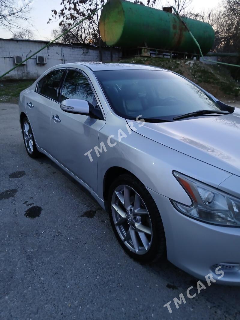Nissan Maxima 2012 - 176 400 TMT - Ашхабад - img 2