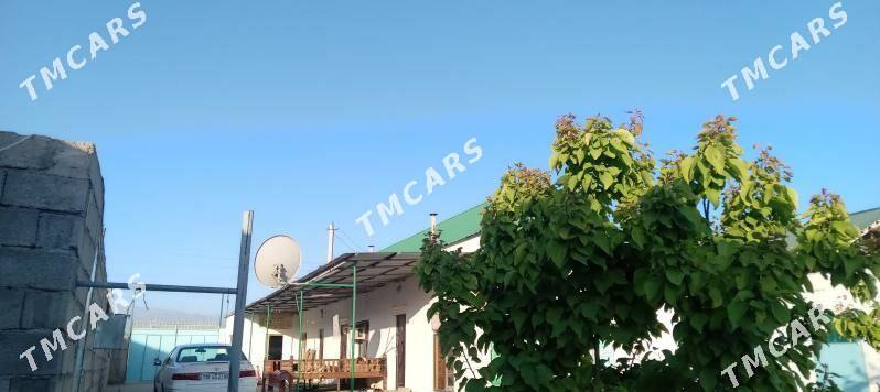 Herrikgala miris - Херрикгала - img 3
