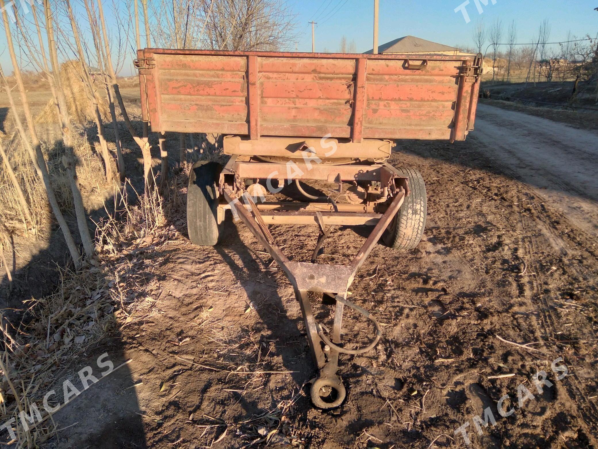 MTZ 80 2000 - 135 000 TMT - Гороглы (Тагта) - img 5