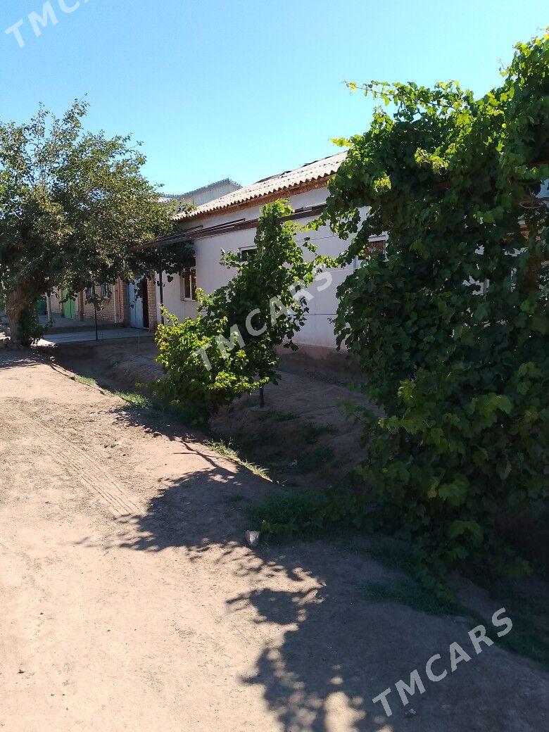 Пристинде сатлык жай - Фарап - img 2