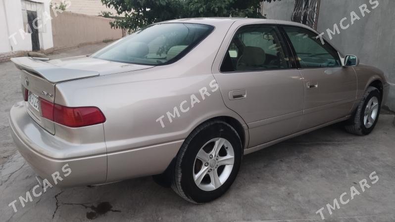 Toyota Camry 2001 - 131 000 TMT - Gurbansoltan Eje - img 4