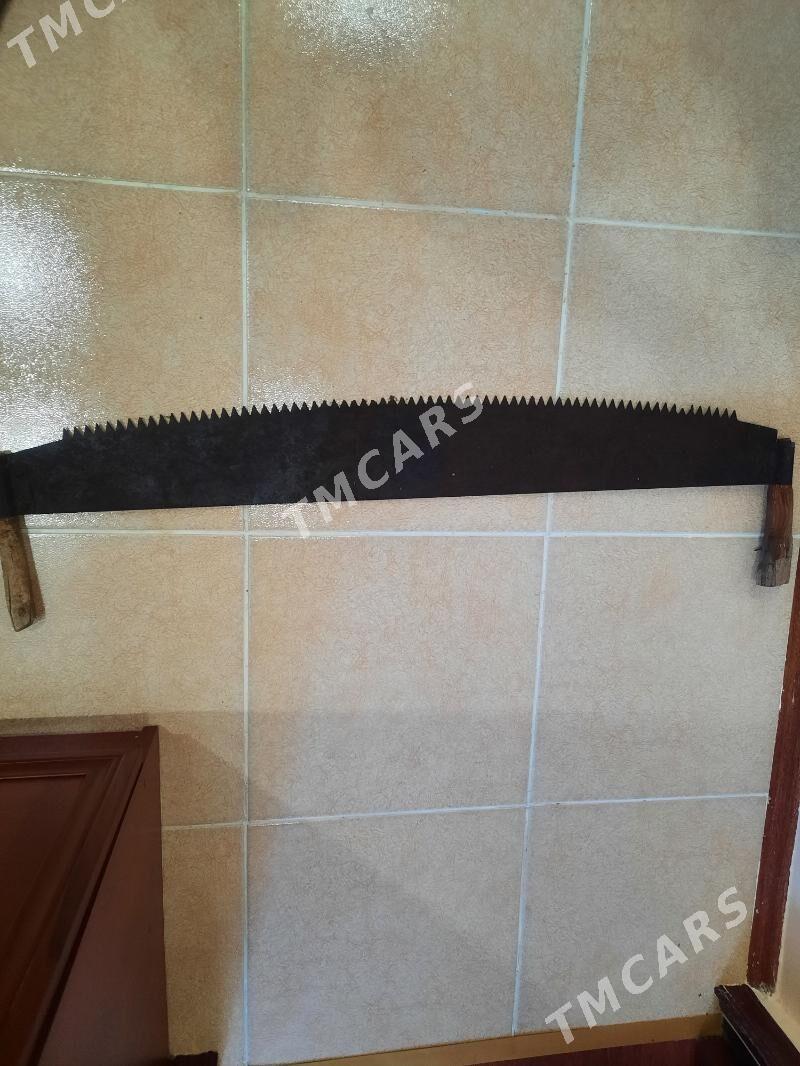 Byçgy ( CCC P) - Aşgabat - img 2