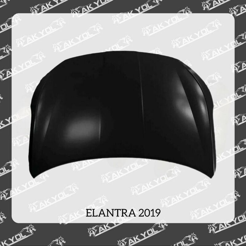 ELANTRA 2019 KAPOT - Bekrewe - img 3