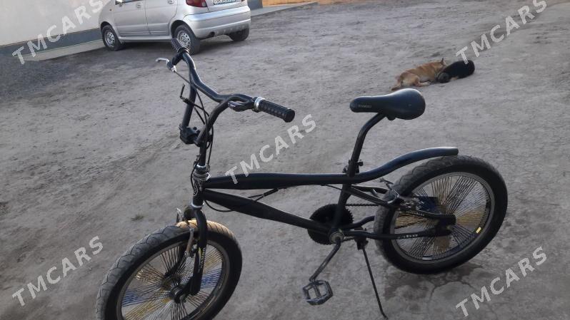 Rambo - Daşoguz - img 2