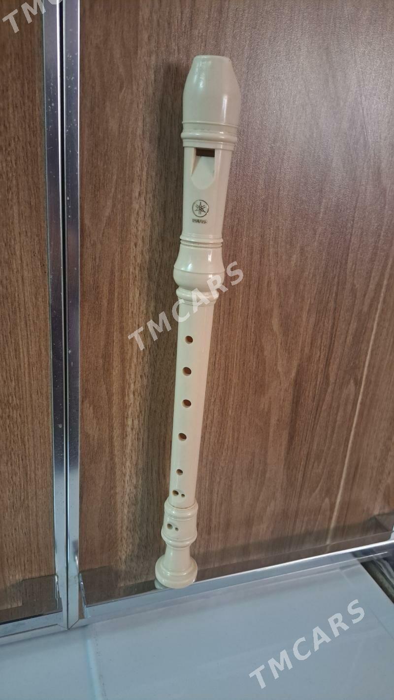 tüŷdük fleỳta - Parahat 4 - img 3