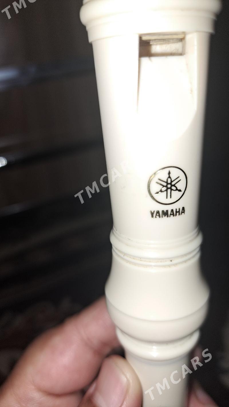 tüŷdük fleỳta - Parahat 4 - img 2