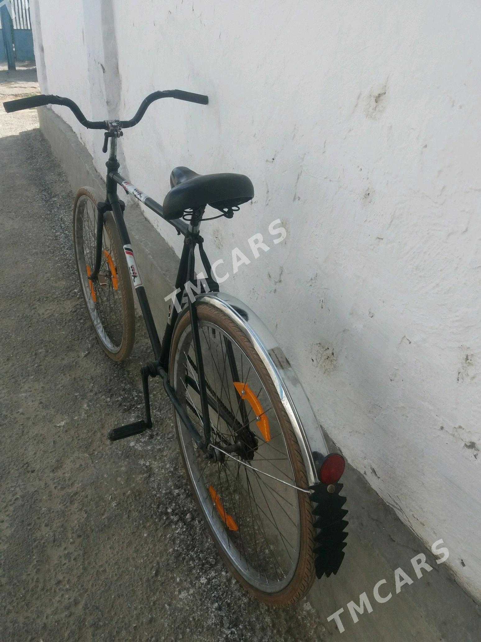 ural tigir - Büzmeýin - img 2