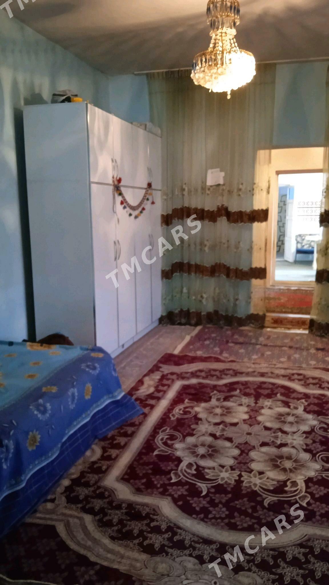 taýyn mellek ýer - Kaka - img 2