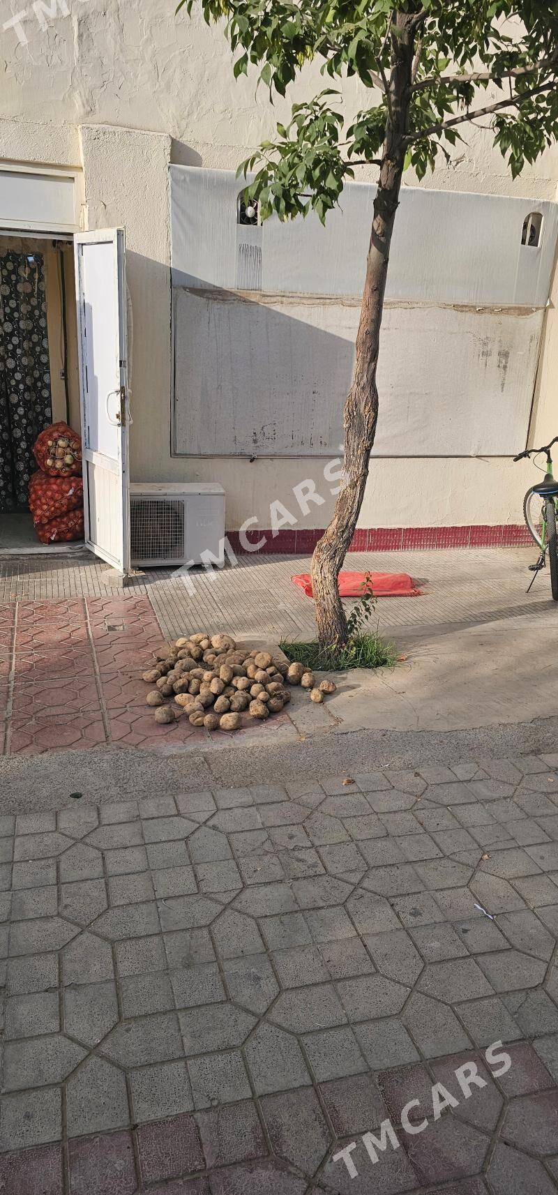 Doner arenda - Aşgabat - img 2