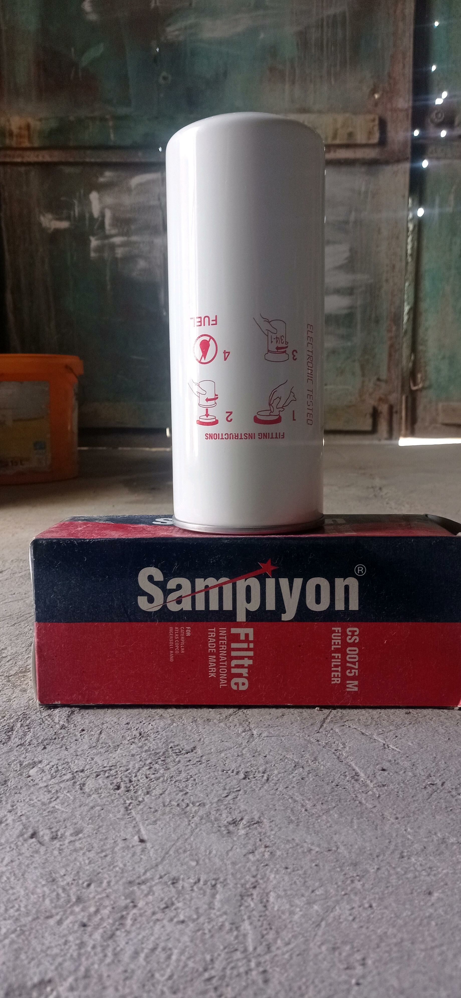 Şampion fitirler 60 TMT - Balkanabat - img 4