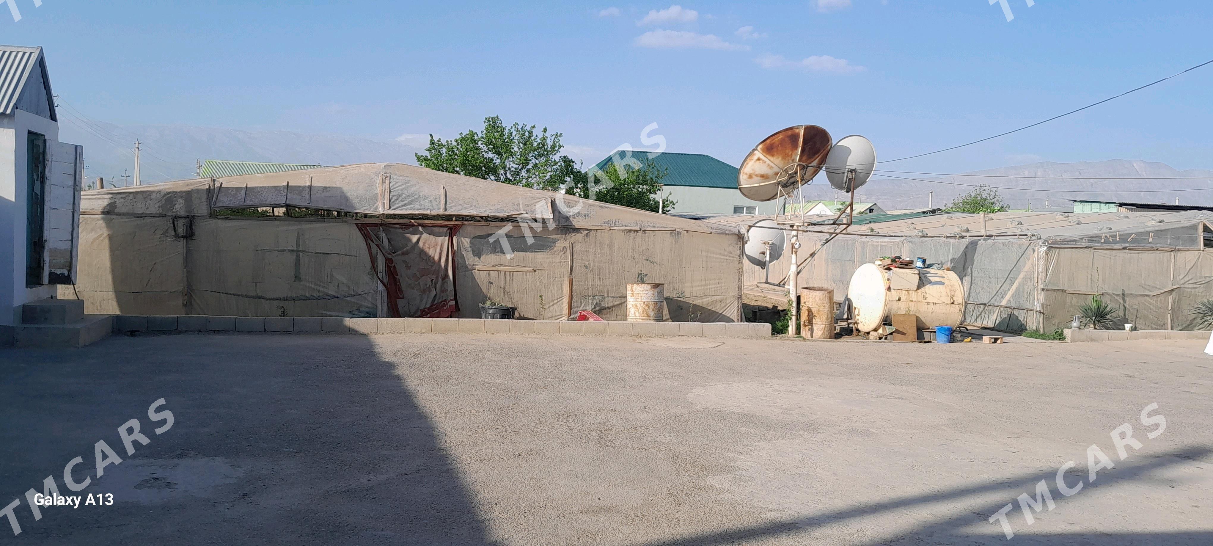 mellek - Aşgabat - img 3