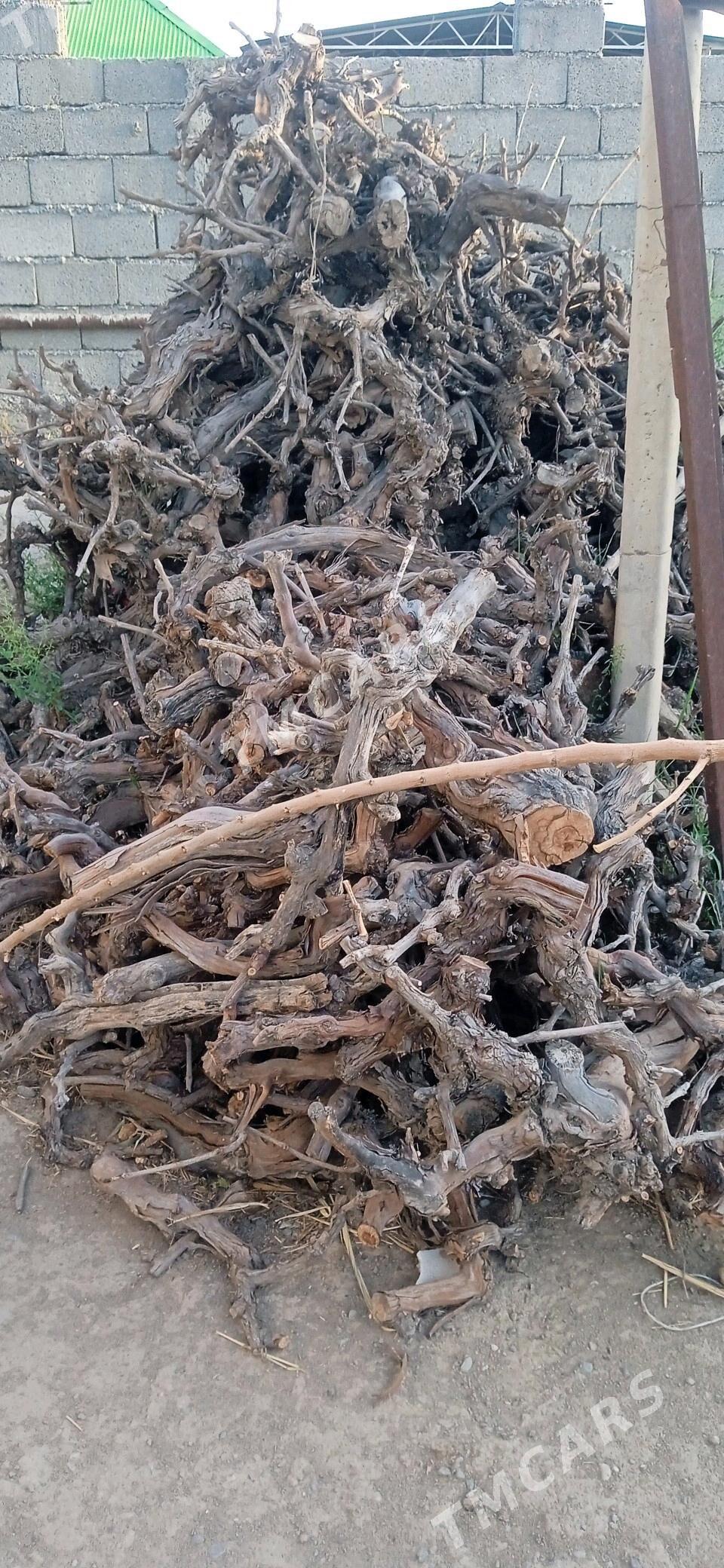 Odun Üzüm töňňe - Gökje - img 2