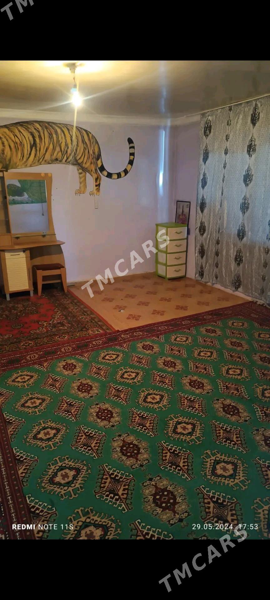 ÄNEW 27 KOCE bedew yany - Änew - img 4