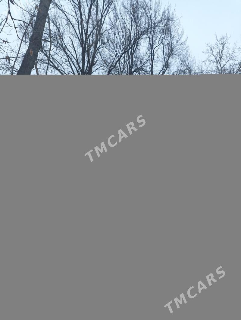 Butga - Aşgabat - img 4