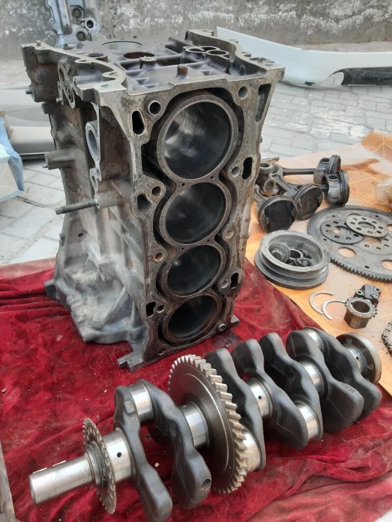 okuz kelle 2.5 800 TMT - Türkmenabat - img 2