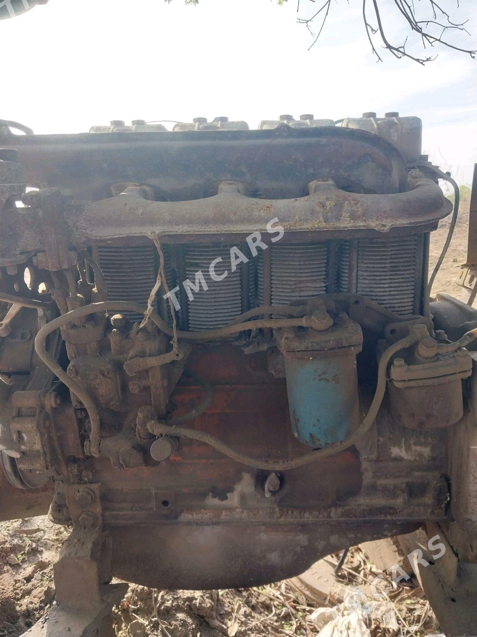 MTZ T-28 2018 - 22 000 TMT - Акдепе - img 4