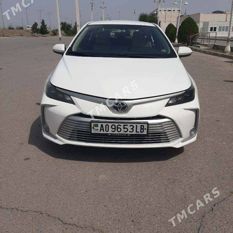 Toyota Corolla 2020 - 330 000 TMT - Türkmenabat - img 2