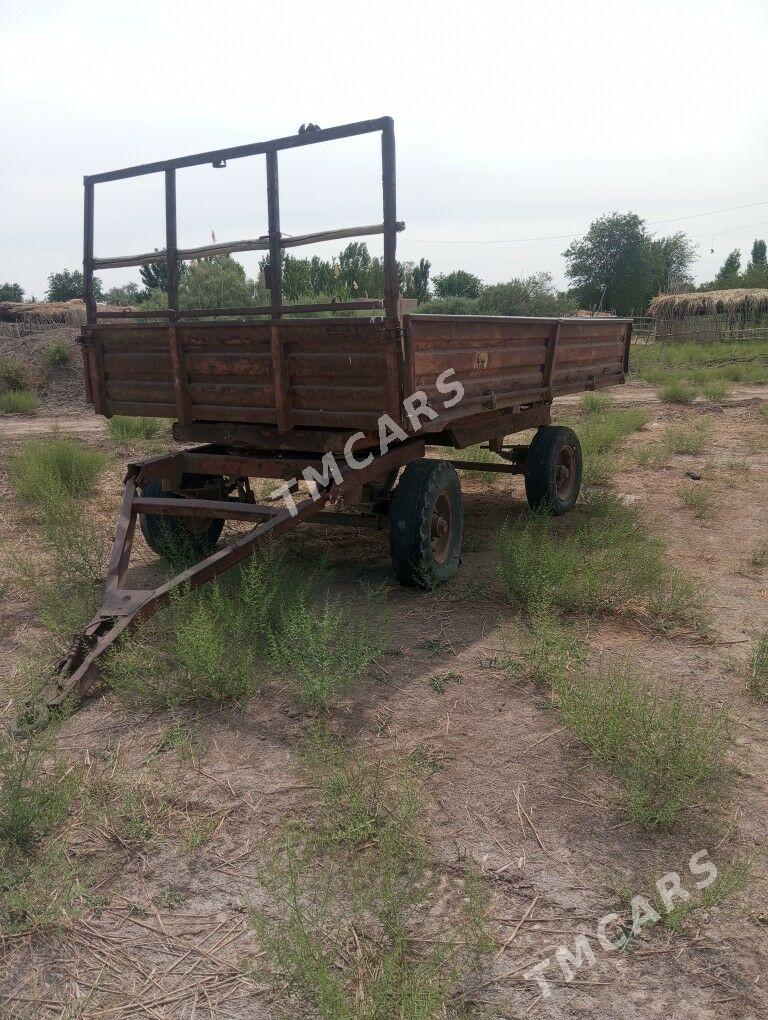 MTZ T-28 1990 - 30 000 TMT - Gurbansoltan Eje - img 3