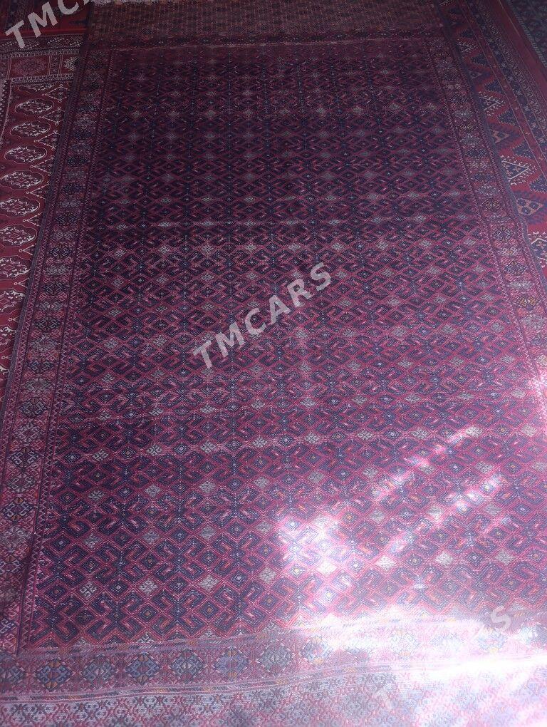 palas - Balkanabat - img 1