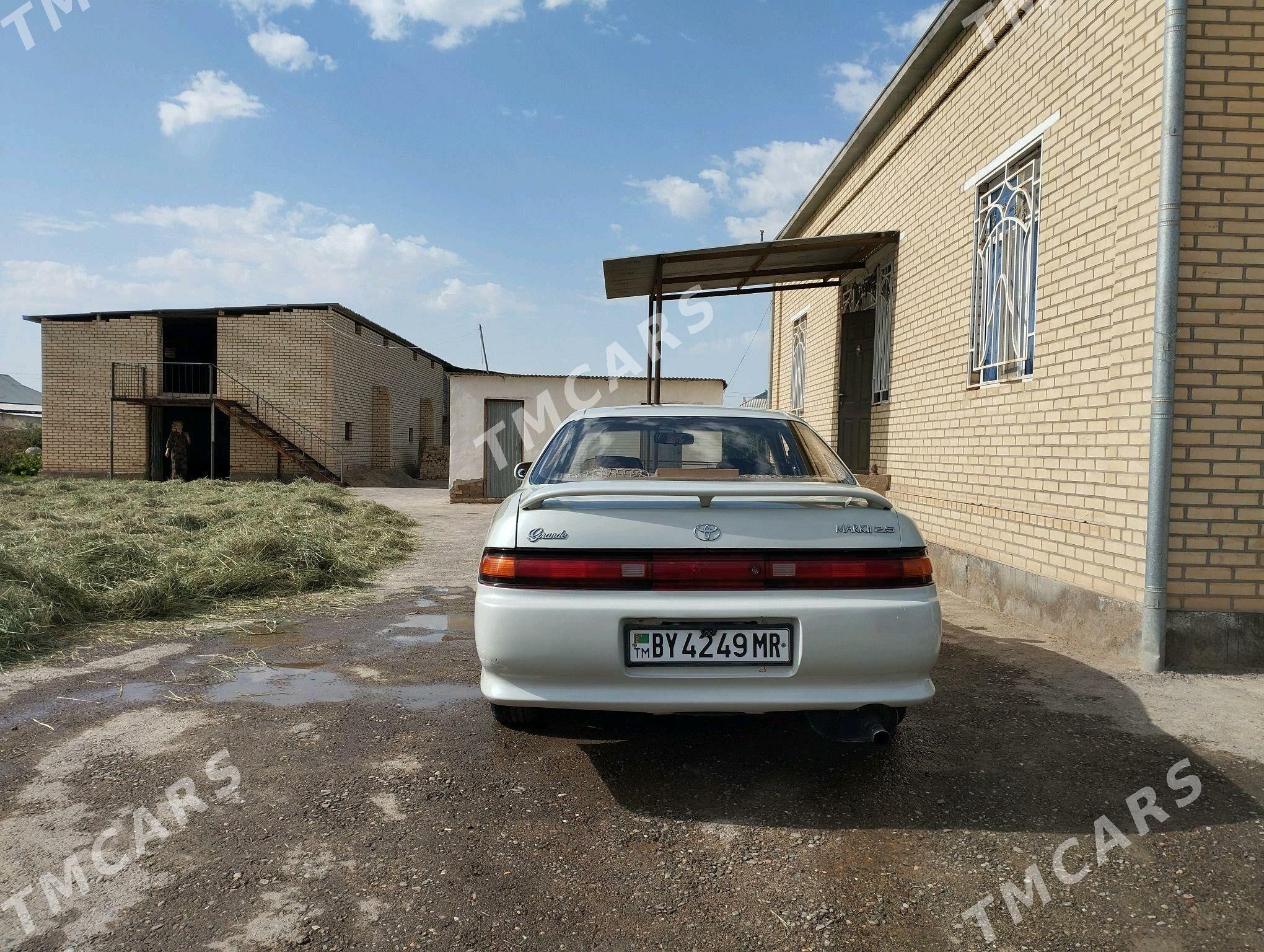 Toyota Mark II 1993 - 50 000 TMT - Sakarçäge - img 2