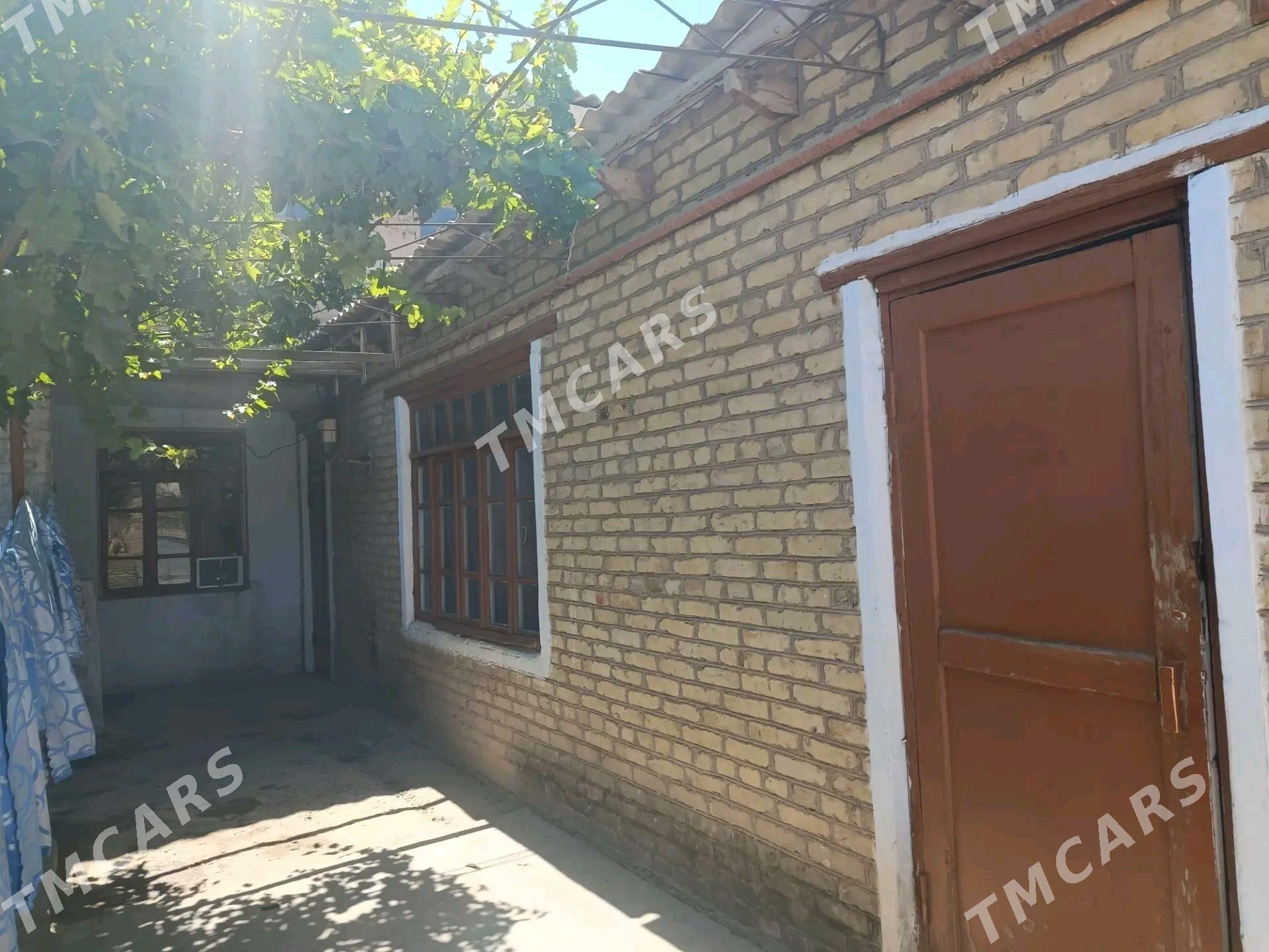 ️Satlyk jay️ - Саят - img 3