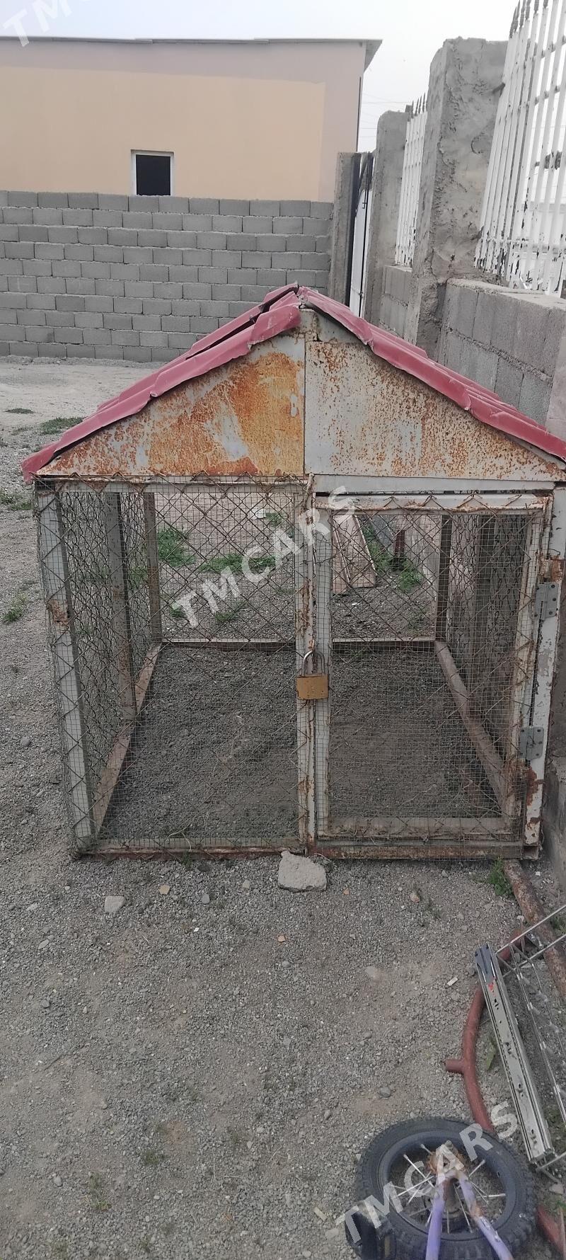 it yatak - Aşgabat - img 2