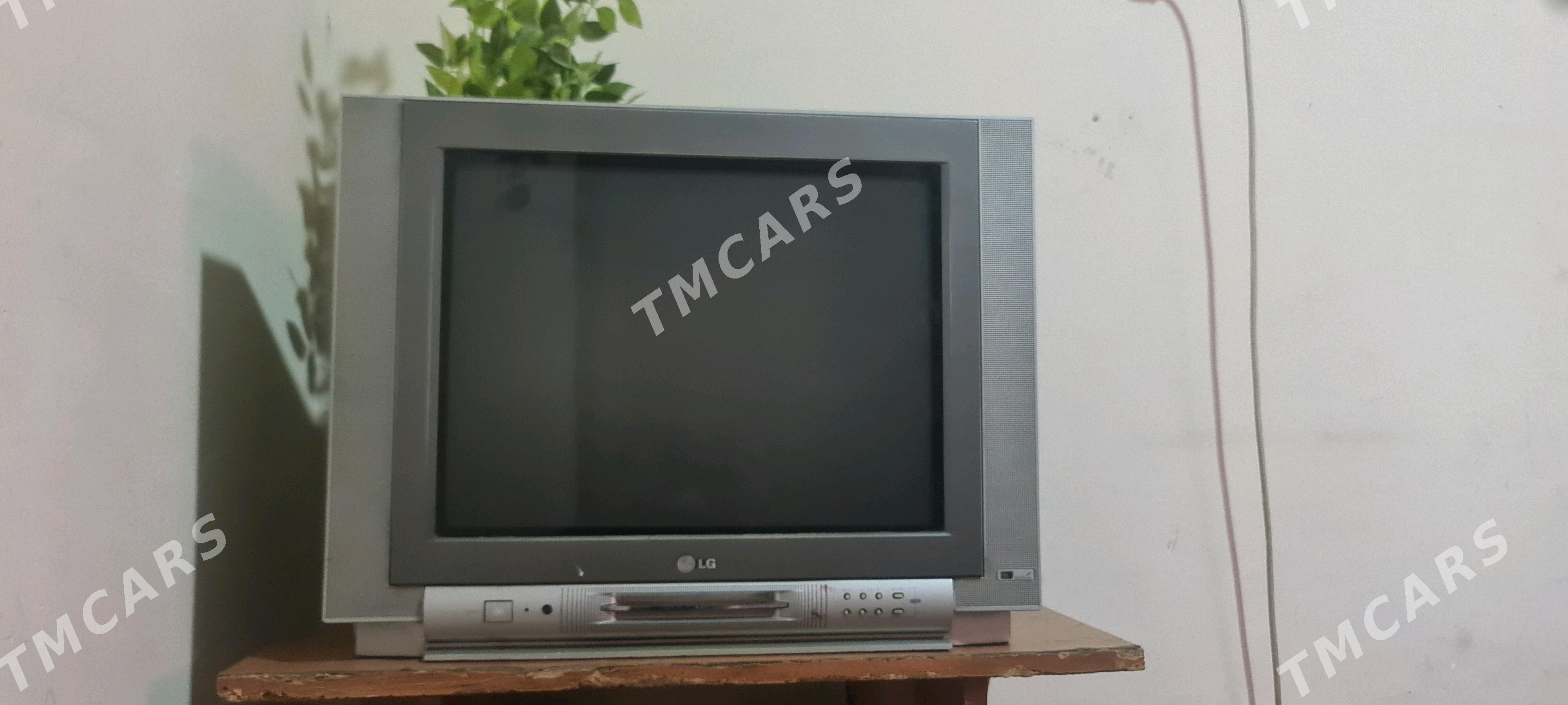 tilwizir elji - Garadamak Şor - img 3