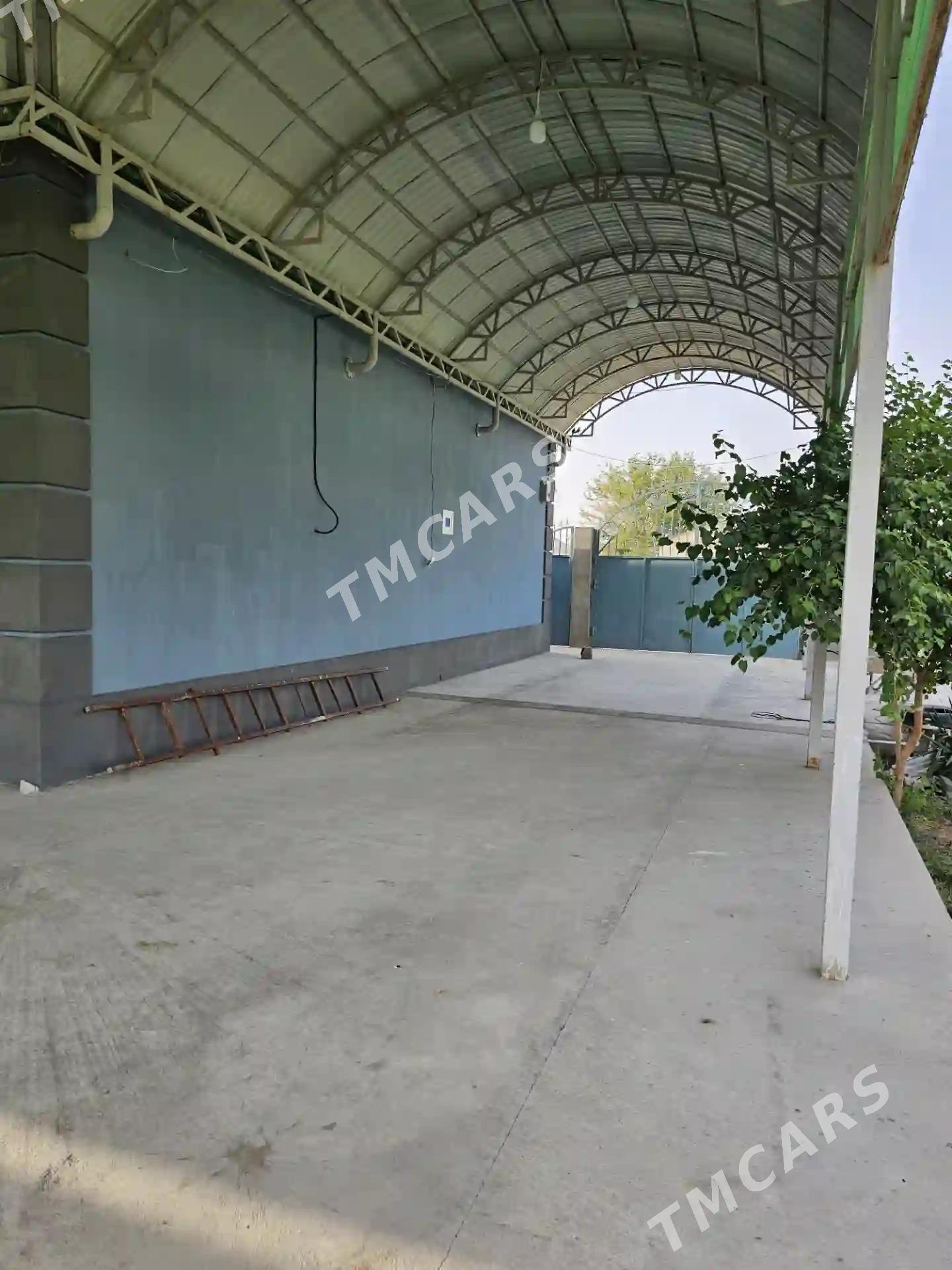 Bereketli zaman 16sot plan jaÿ - Ak bugdaý etraby - img 10