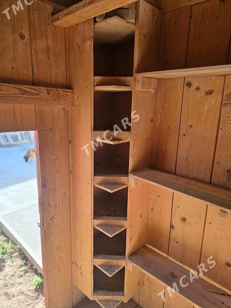 Kepderi ketek - Balkanabat - img 3