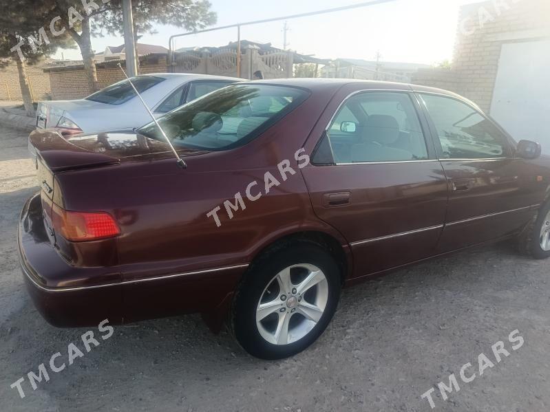 Toyota Camry 2001 - 110 000 TMT - Sakarçäge - img 3