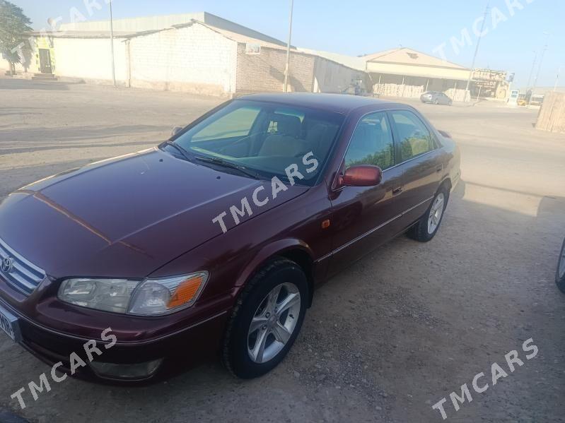 Toyota Camry 2001 - 110 000 TMT - Sakarçäge - img 5