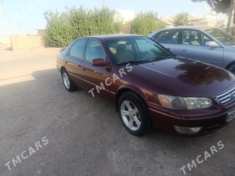 Toyota Camry 2001 - 110 000 TMT - Sakarçäge - img 4
