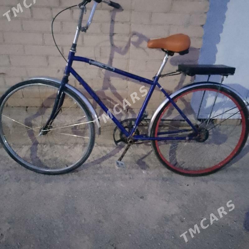 tigir - Çärjew - img 2