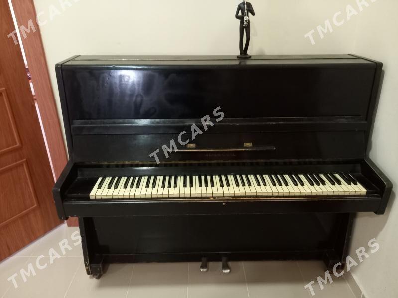 pianina адесса - Aşgabat - img 3
