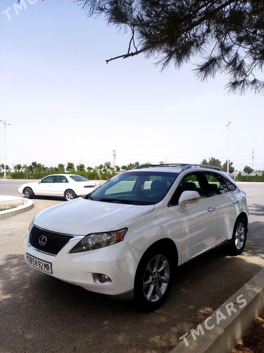 Lexus RX 350 2010 - 289 000 TMT - Sakarçäge - img 3