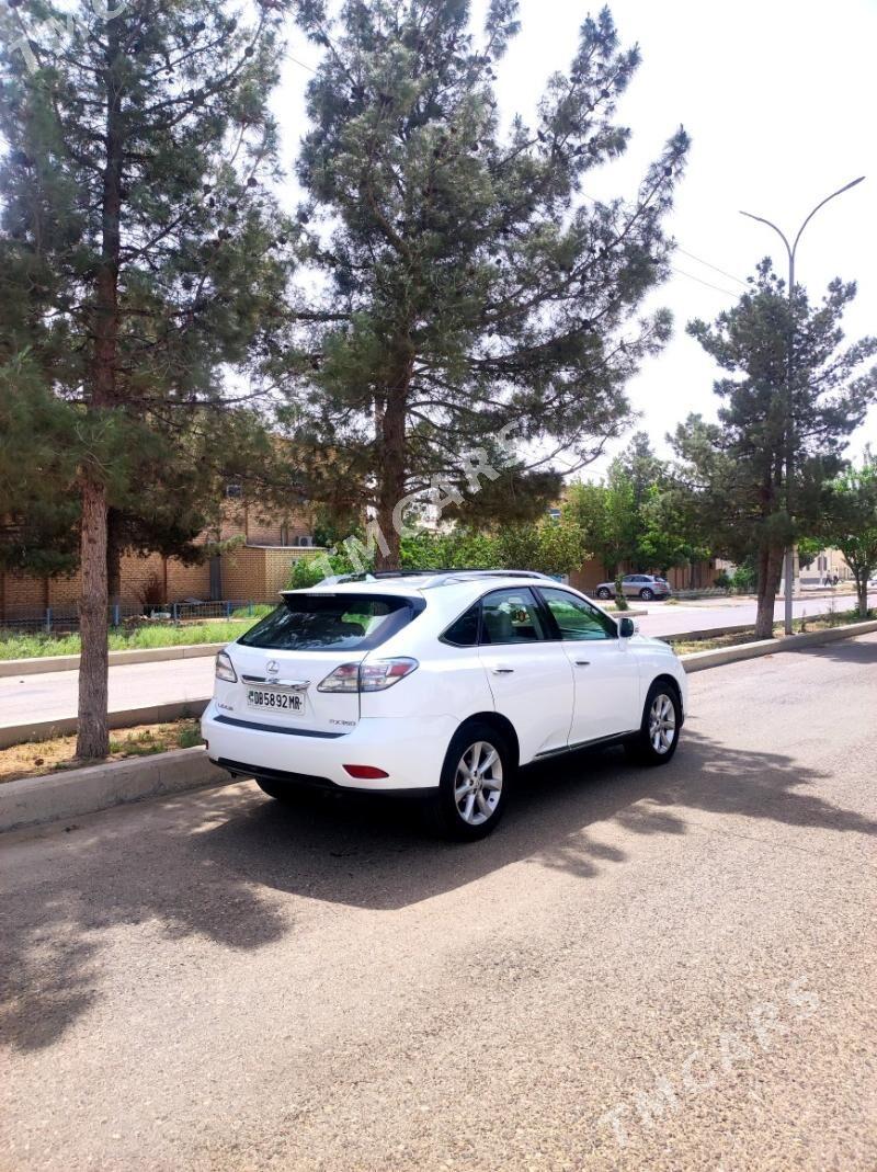 Lexus RX 350 2010 - 289 000 TMT - Sakarçäge - img 4