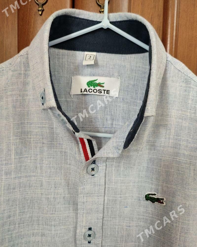 Lacoste çaga koynek рубашка - Ашхабад - img 2