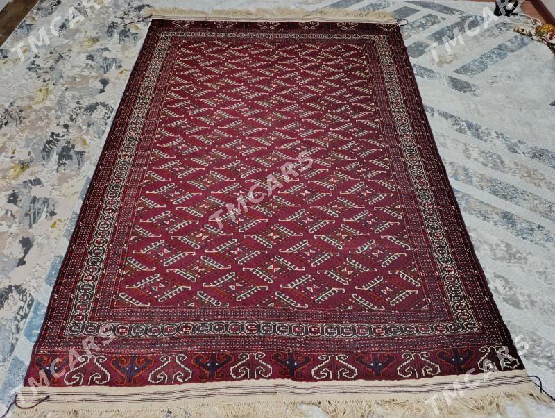 artel haly - Balkanabat - img 2