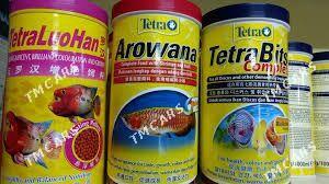 Arovana tetra,sera - Aşgabat - img 2