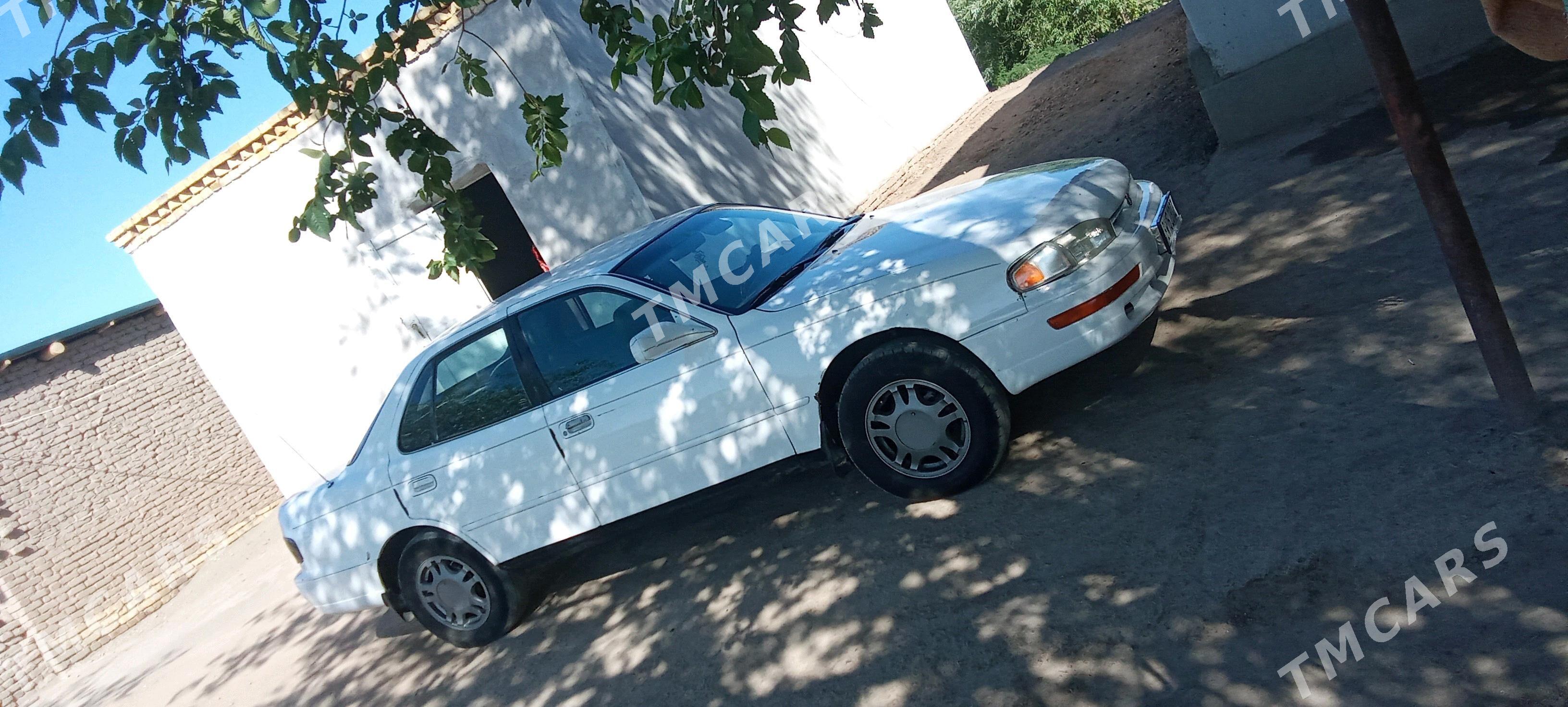 Toyota Camry 1994 - 68 000 TMT - Gubadag - img 2