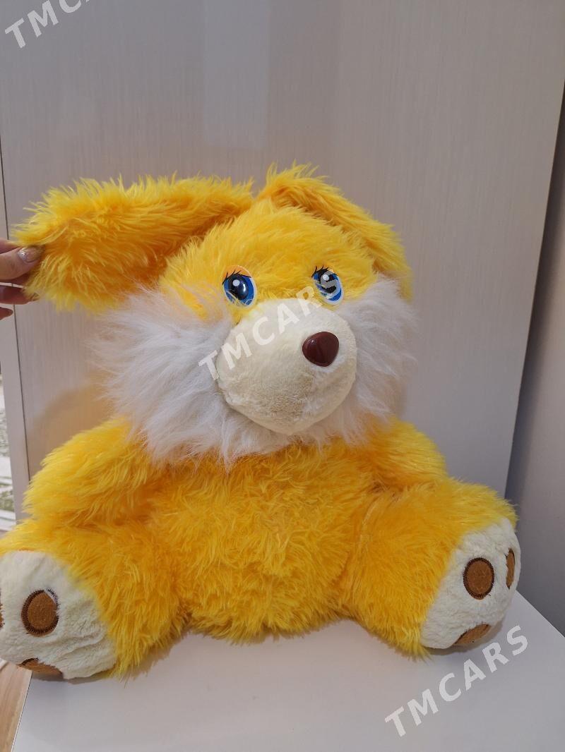 Sowgatlyk Taze mishka/игрушка - Ашхабад - img 3