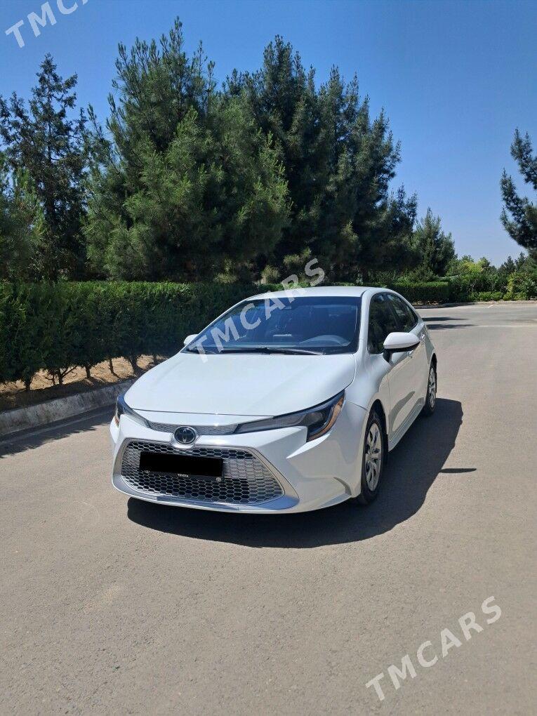 Toyota Corolla 2023 - 237 000 TMT - Büzmeýin GRES - img 3